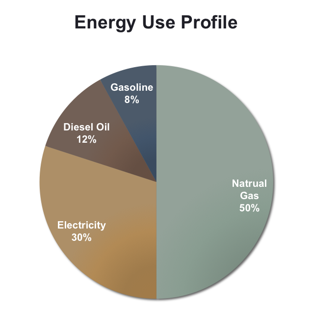 How Energy Profiles Make You Smarter Stanley Energy